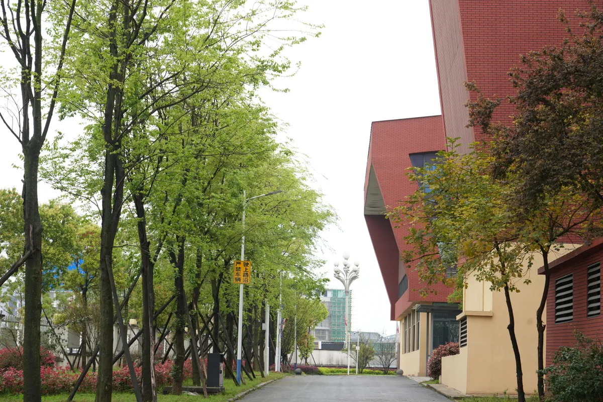重庆八中广安友谊学校校园照片3